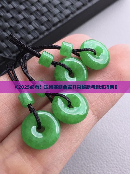 现场挖玉石翡翠 现场挖玉石翡翠
