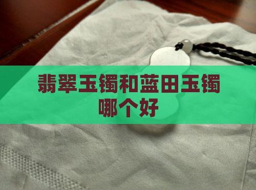 翡翠玉镯和蓝田玉镯哪个好