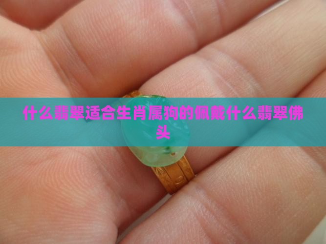 属狗的适合佩戴什么翡翠佛头