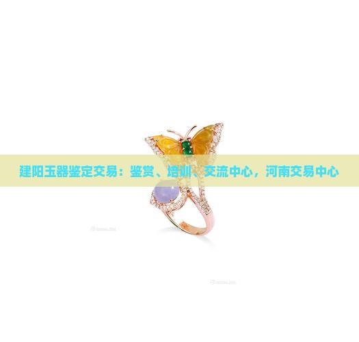 建阳玉器鉴定交易