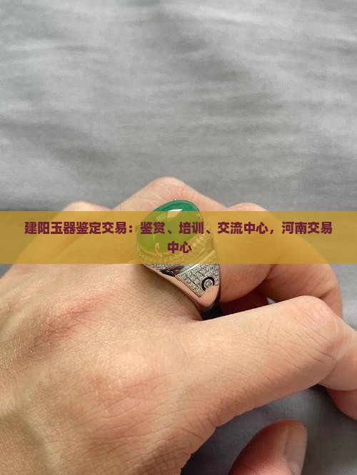 建阳玉器鉴定交易