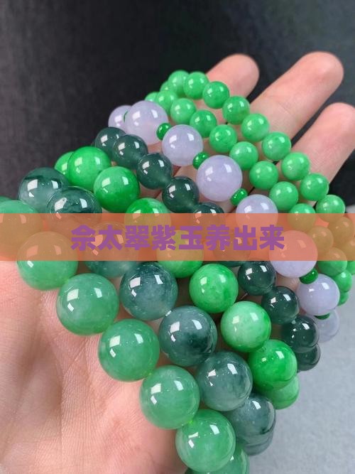 佘太翠紫玉养出来