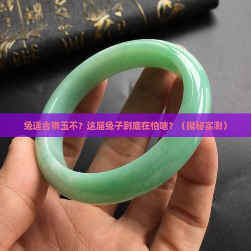 兔适合带玉不
