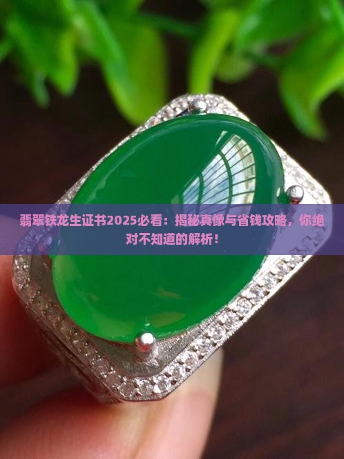 翡翠铁龙生出具什么样的证书