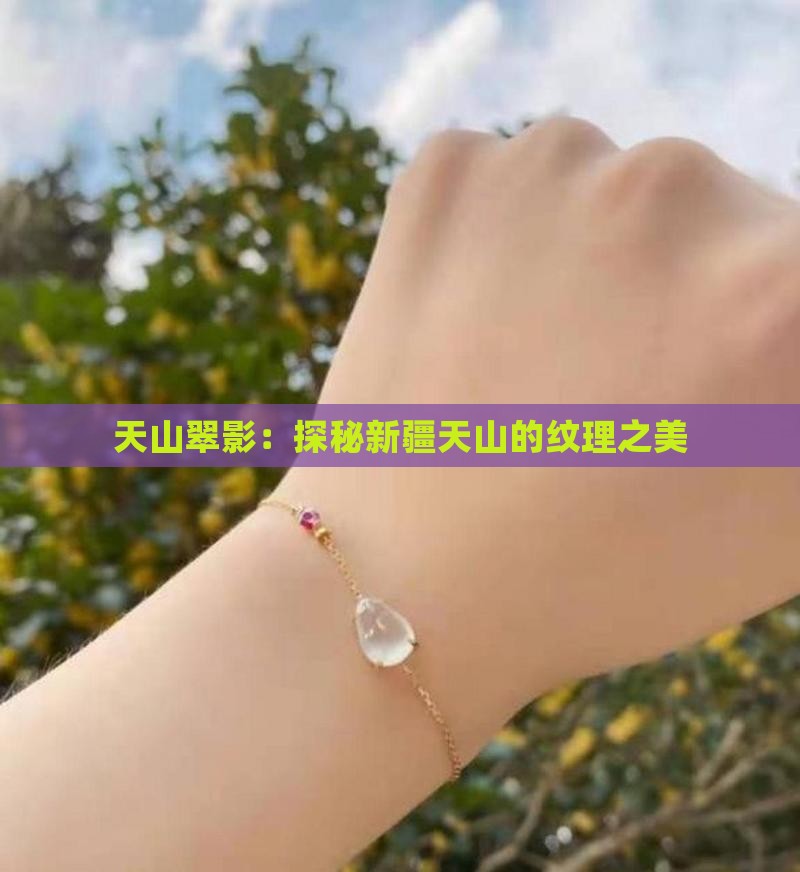 天山翠影：探秘新疆天山的纹理之美