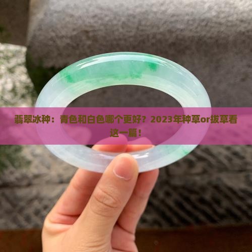 翡翠冰种：青色和白色哪个更好？2023年种草or拔草看这一篇！