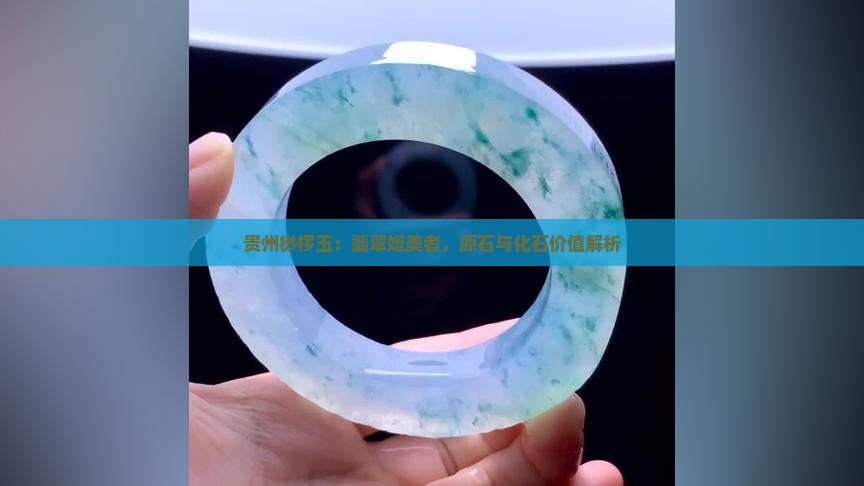 贵州桫椤玉：翡翠媲美者，原石与化石价值解析