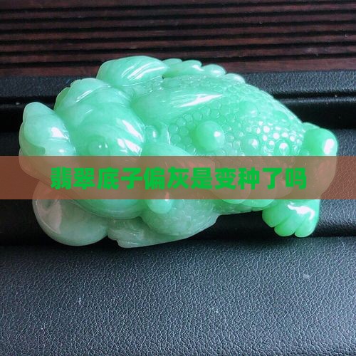 翡翠底子偏灰是变种了吗