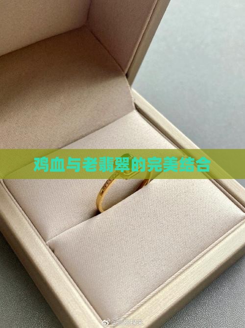 鸡血与老翡翠的完美结合