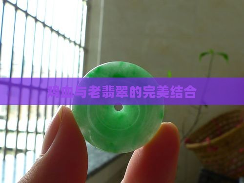 鸡血与老翡翠的完美结合