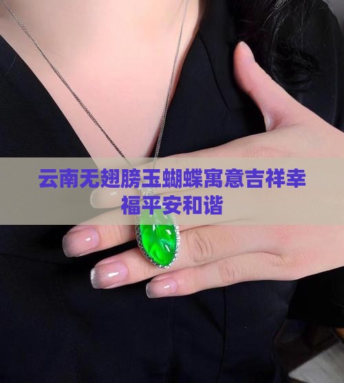 云南无翅膀玉蝴蝶寓意吉祥幸福平安和谐