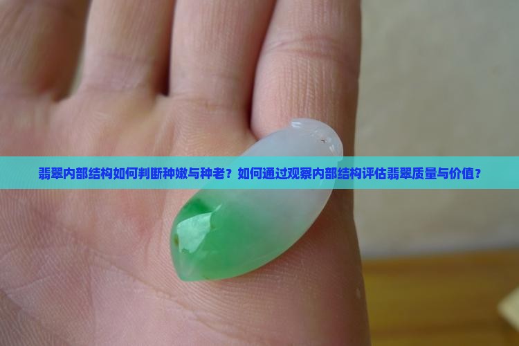 翡翠内部结构如何判断种嫩与种老？如何通过观察内部结构评估翡翠质量与价值？