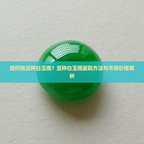 如何挑压种白玉镯？豆种白玉镯鉴别方法与市场价格解析