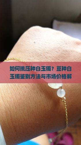如何挑压种白玉镯？豆种白玉镯鉴别方法与市场价格解析