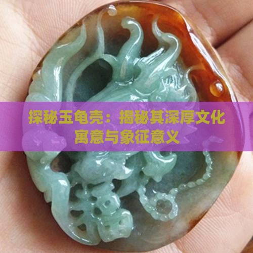 探秘玉龟壳：揭秘其深厚文化寓意与象征意义