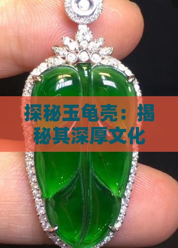 探秘玉龟壳：揭秘其深厚文化寓意与象征意义
