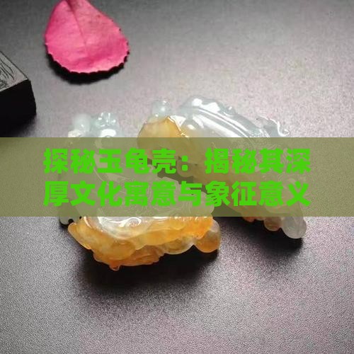 探秘玉龟壳：揭秘其深厚文化寓意与象征意义