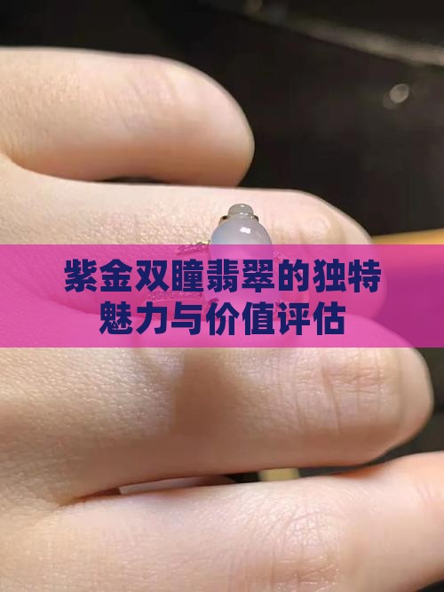 紫金双瞳翡翠的独特魅力与价值评估