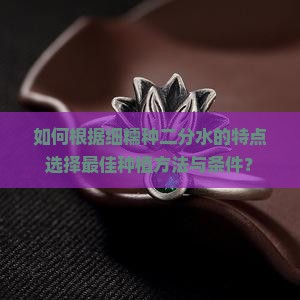 如何根据细糯种二分水的特点选择最佳种植方法与条件？