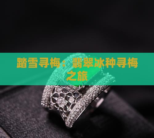 踏雪寻梅：翡翠冰种寻梅之旅