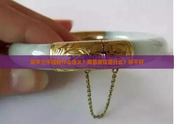 紫罗兰手镯有什么含义？寓意象征是什么？好不好