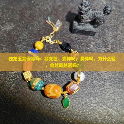 独龙玉会很凉吗：会变色、变种吗，易碎吗，为什么轻，会越戴越透吗？