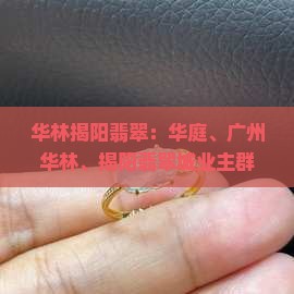 华林揭阳翡翠：华庭、广州华林、揭阳翡翠城业主群