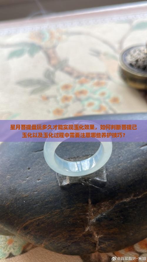 星月菩提盘玩多久才能实现玉化效果，如何判断菩提已玉化以及玉化过程中需要注意哪些养护技巧？