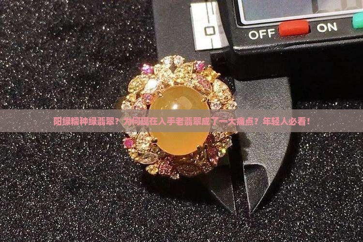 阳绿糯种绿翡翠？为何现在入手老翡翠成了一大痛点？年轻人必看！