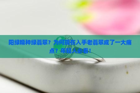 阳绿糯种绿翡翠？为何现在入手老翡翠成了一大痛点？年轻人必看！