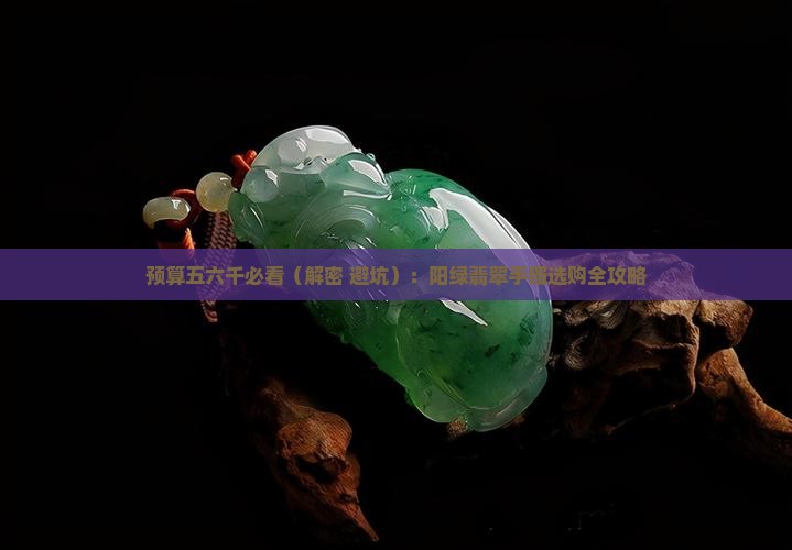 预算五六千的阳绿翡翠手镯