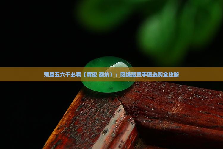 预算五六千的阳绿翡翠手镯