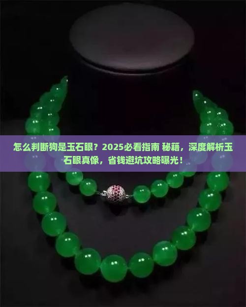 怎么判断狗是玉石眼
