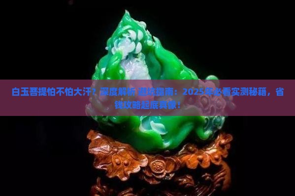 白玉菩提怕不怕大汗