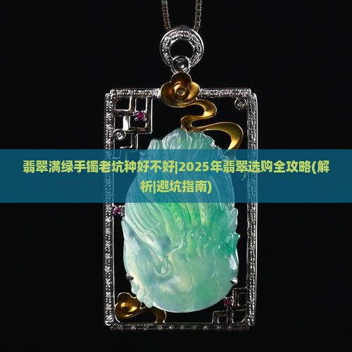 翡翠满绿手镯老坑种好不好