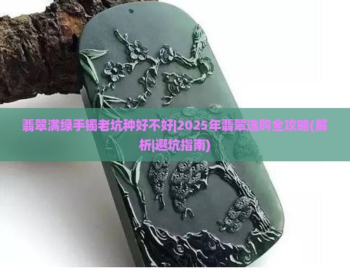 翡翠满绿手镯老坑种好不好