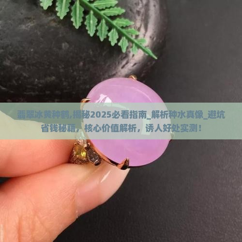 翡翠冰黄种鹤