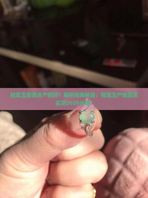 独龙玉是哪点产