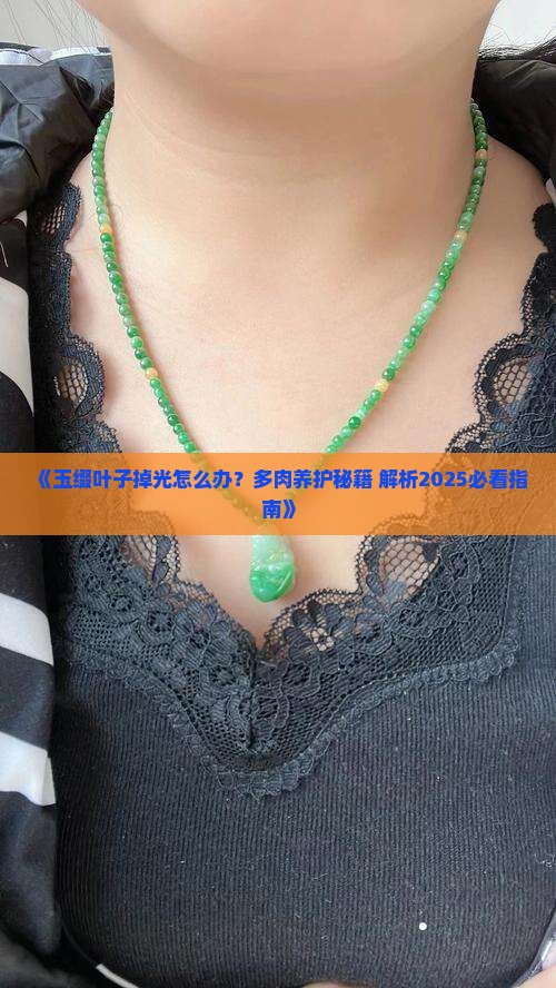 玉缀叶子掉光怎么办 玉缀叶子掉光怎么办