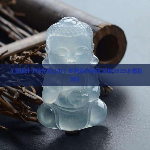 玉缀叶子掉光怎么办 玉缀叶子掉光怎么办