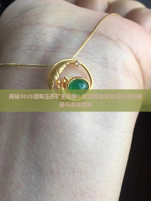 缅甸玉石矿主