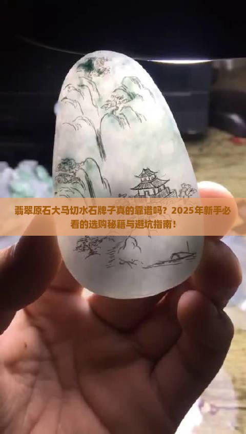 翡翠原石大马切水石牌子