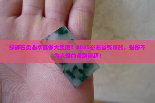 绿辉石类翡翠