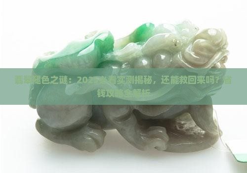 翡翠带着不绿了