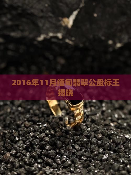 2016年11月缅甸翡翠公盘