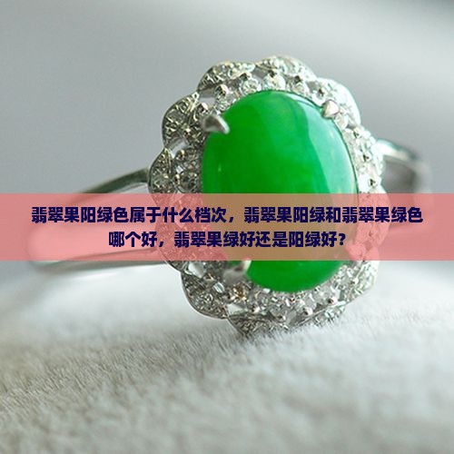 翡翠果阳绿色 翡翠果阳绿色