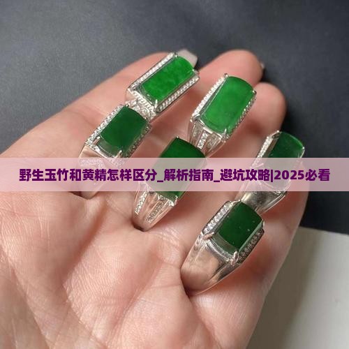 野生玉竹和黄精怎样区分