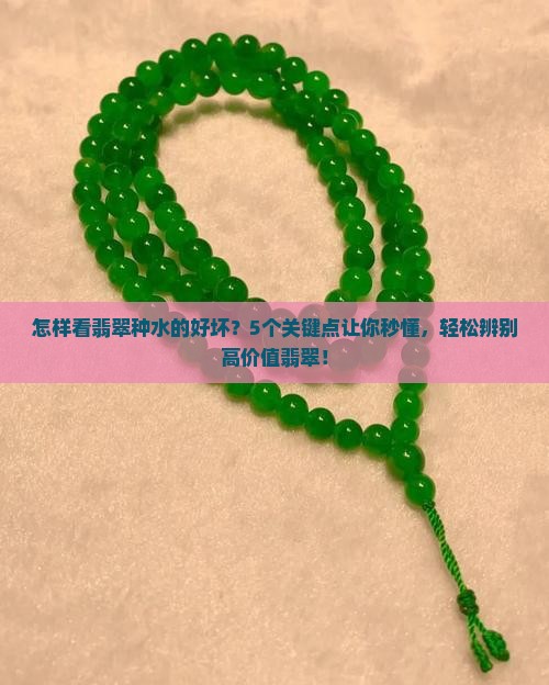 怎样看翡翠种水的好坏