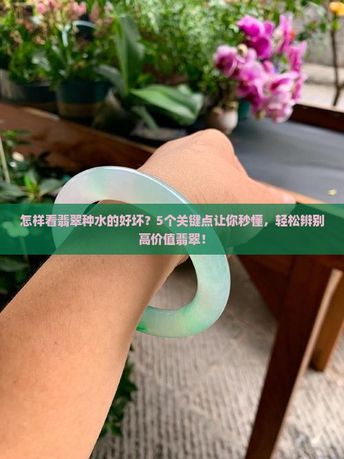 怎样看翡翠种水的好坏