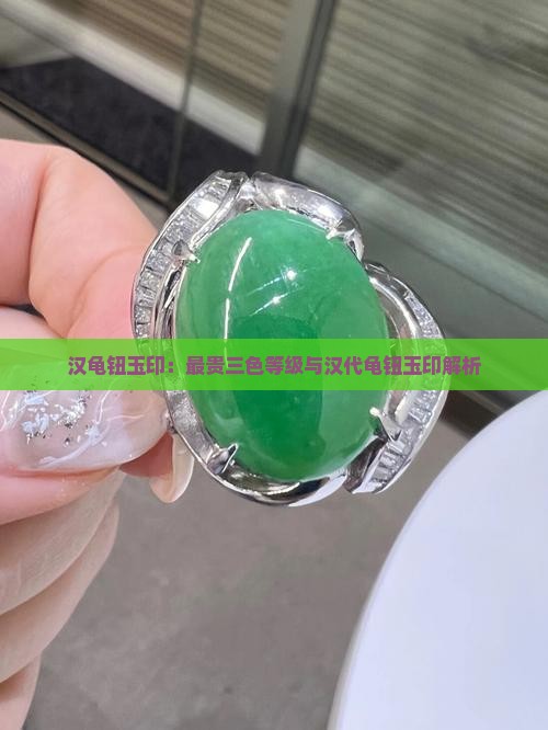 汉龟钮玉印：最贵三色等级与汉代龟钮玉印解析
